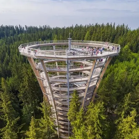 Dole V Dole شقة تشيرني دول